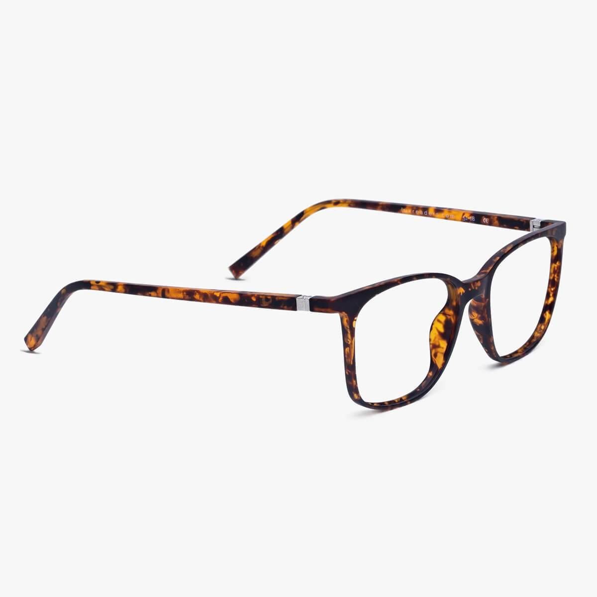 Tortoise shell rectangular glasses with sleek temples