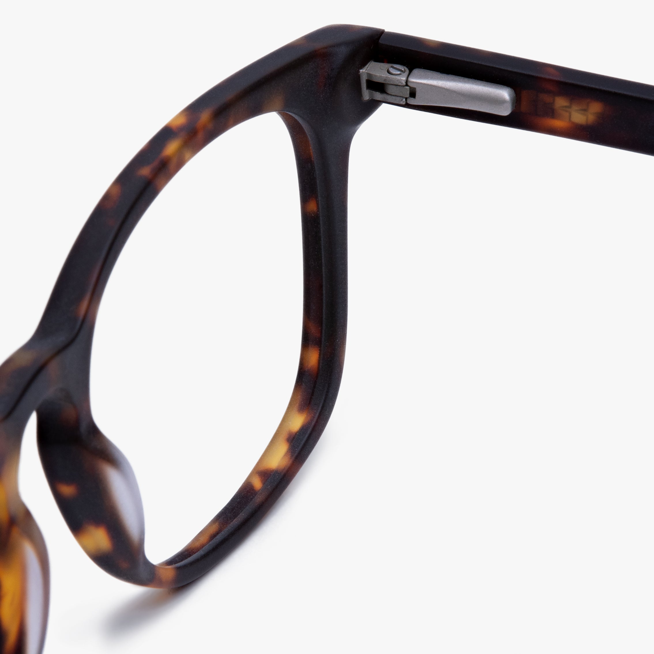 Close-up of Women's Bornholm dark turtle acetate frame