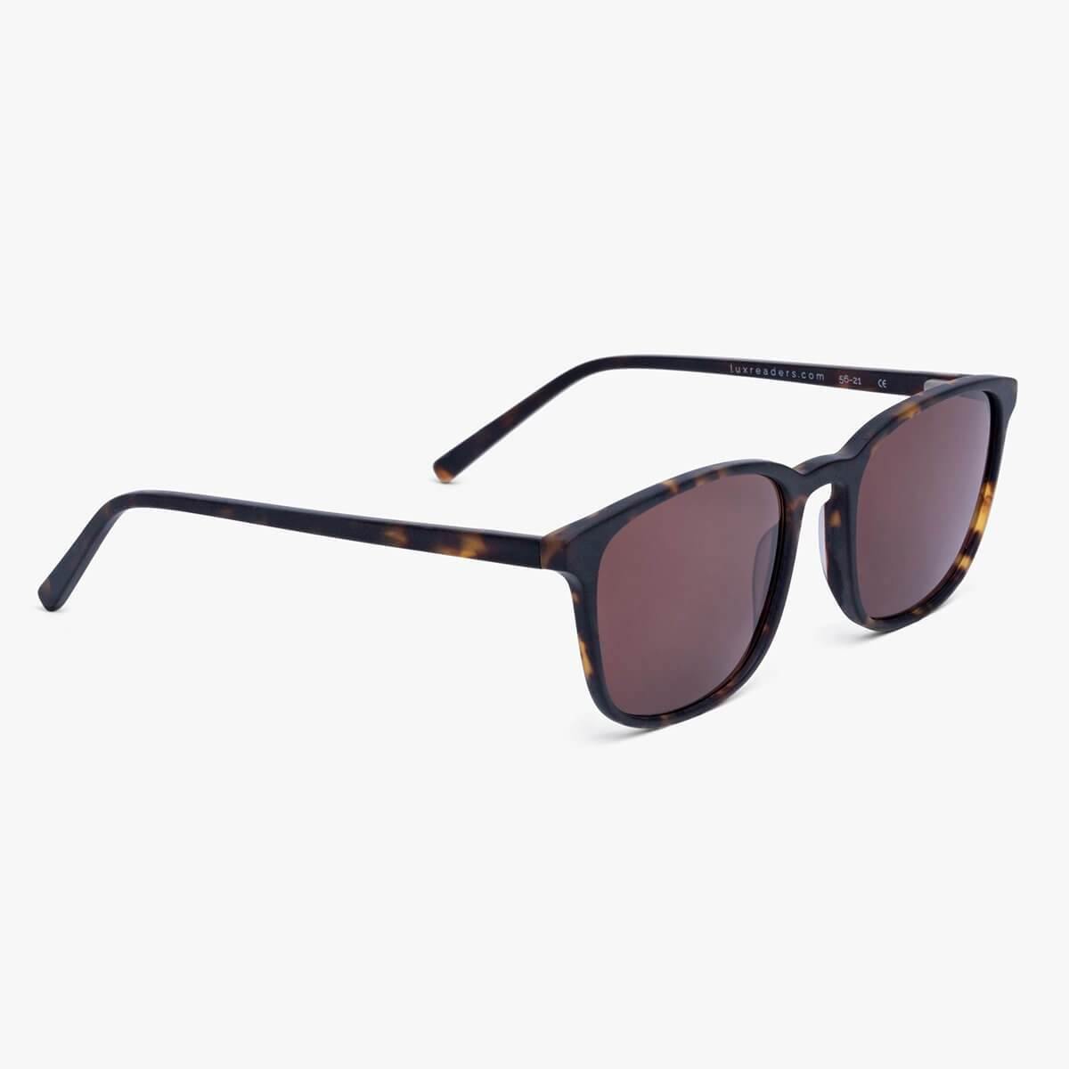 Women's Ebeltoft Dark Turtle sunglasses with tortoiseshell design and Luxreaders logo